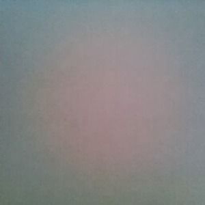 Meet your Posher, Rex